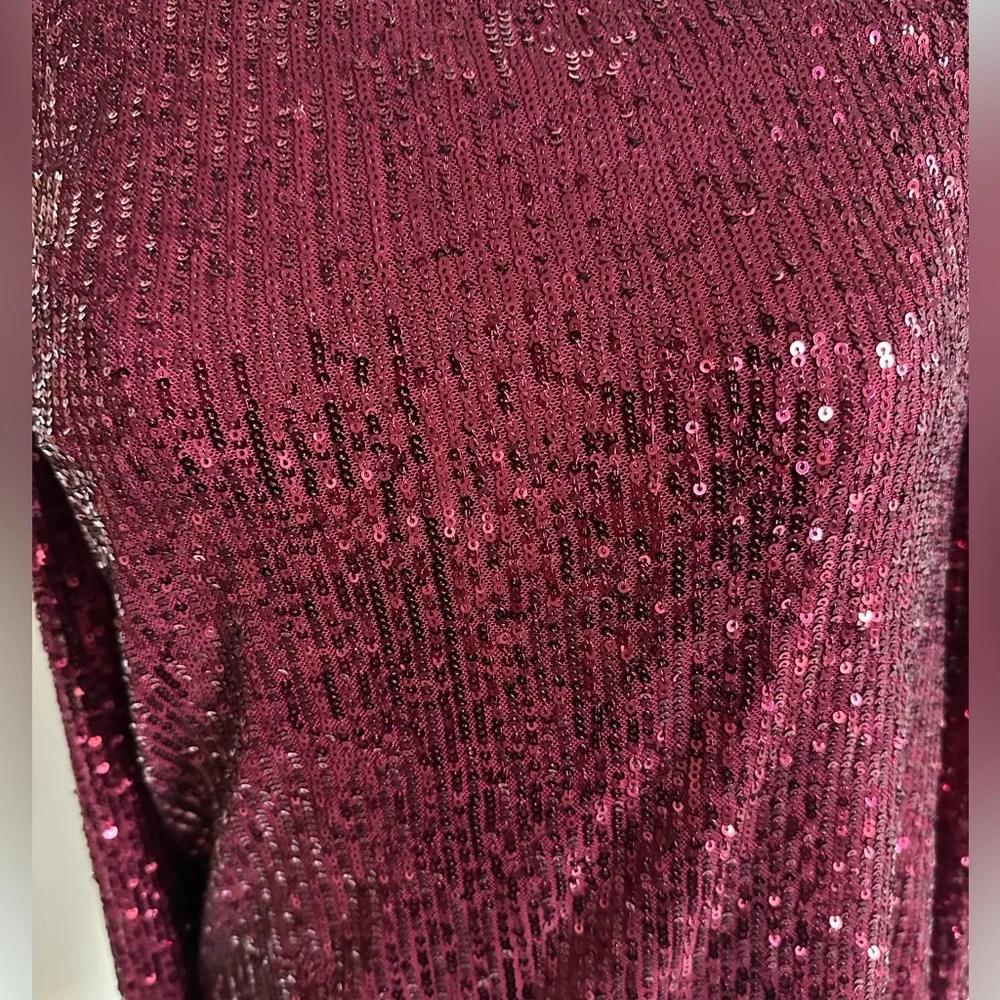 CeCe Burgundy Sequin Top- X-Small